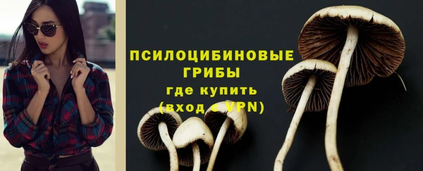 эйфоретик Волоколамск