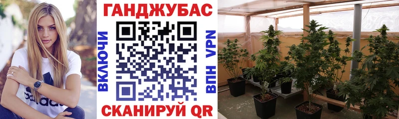 Каннабис THC 21% Купить где Новоузенск